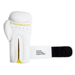 Боксерские перчатки StormCloud Boxing Pro белые