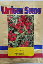 Даттерино F - 1Datterino F1 1000 семян