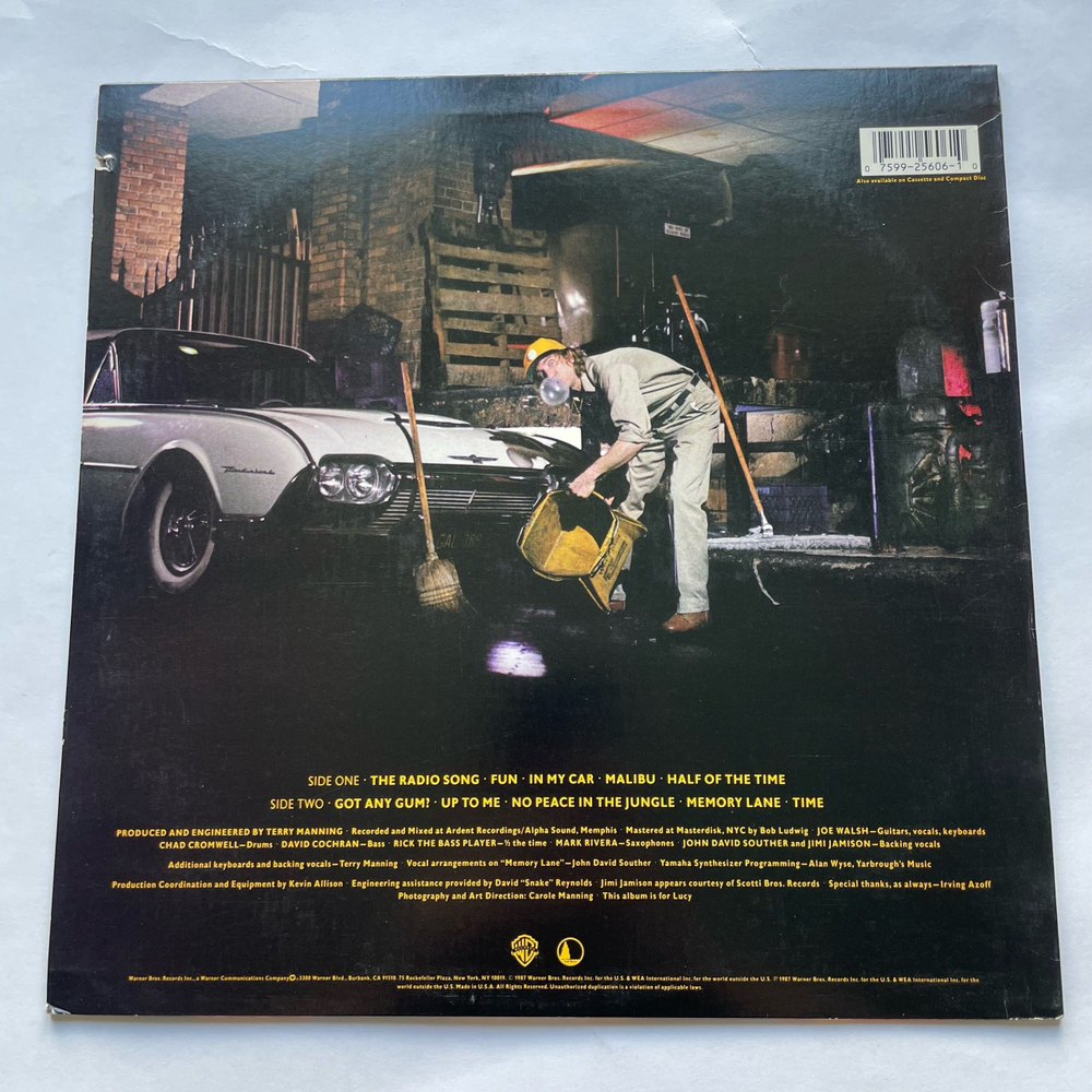 Винтажная виниловая пластинка LP Joe Walsh Got Any Gum (США 1987)