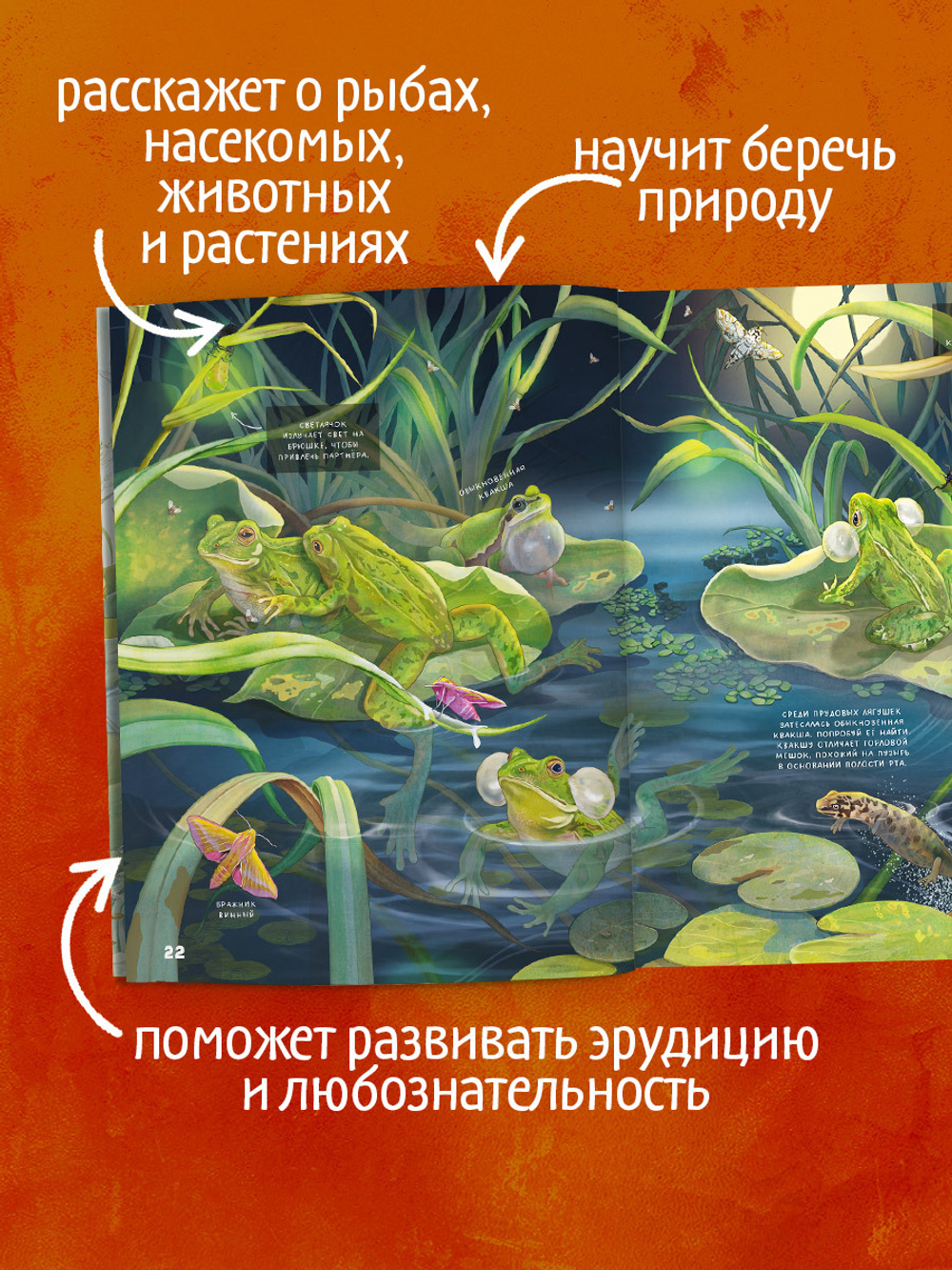 Удивительные энциклопедии. Секреты животных озера. Визуальная энциклопедия