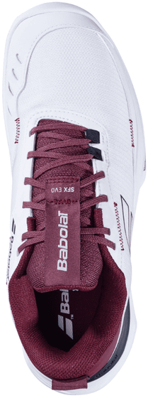 Кроссовки мужские Babolat SFX Evo All Court