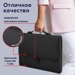 Папка-портфель пластиковая BRAUBERG "ДИПЛОМАТ" А4 (330х245х35 мм) 13 отделений фактура бисер черная (2 штуки в упаковке)