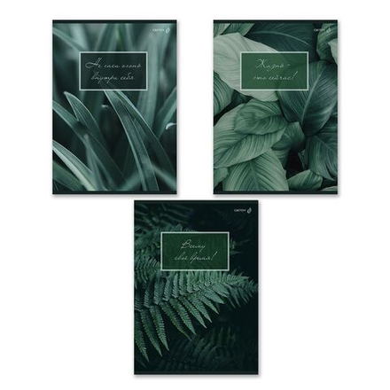 Тетрадь А4 48л кл. скоба Светоч "Малахитовая симфония" БЕЗ ПОЛЕЙ