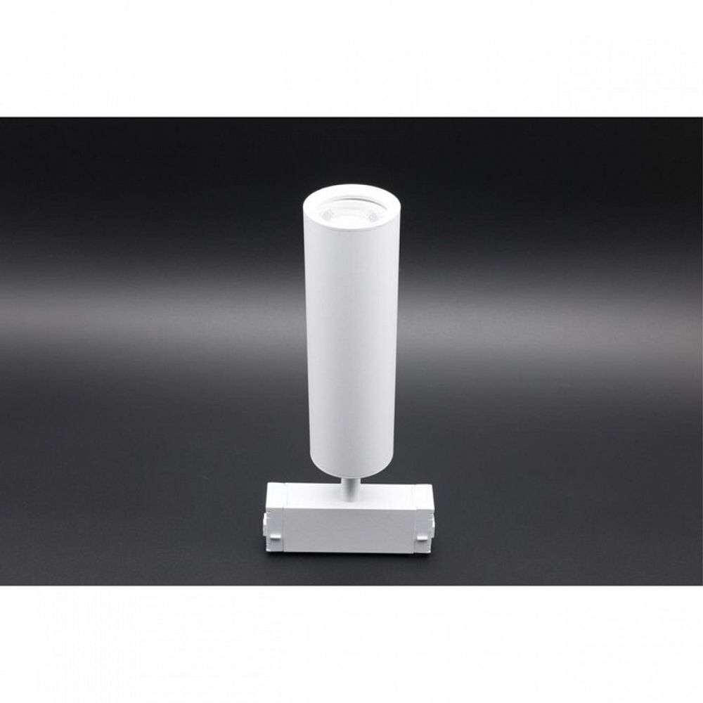 Светильник на штанге Aployt Magnetic track 220 APL.0210.11.01