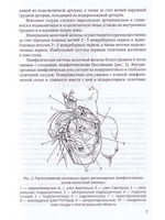 Хирургия молочной железы.Руководство для врачей
