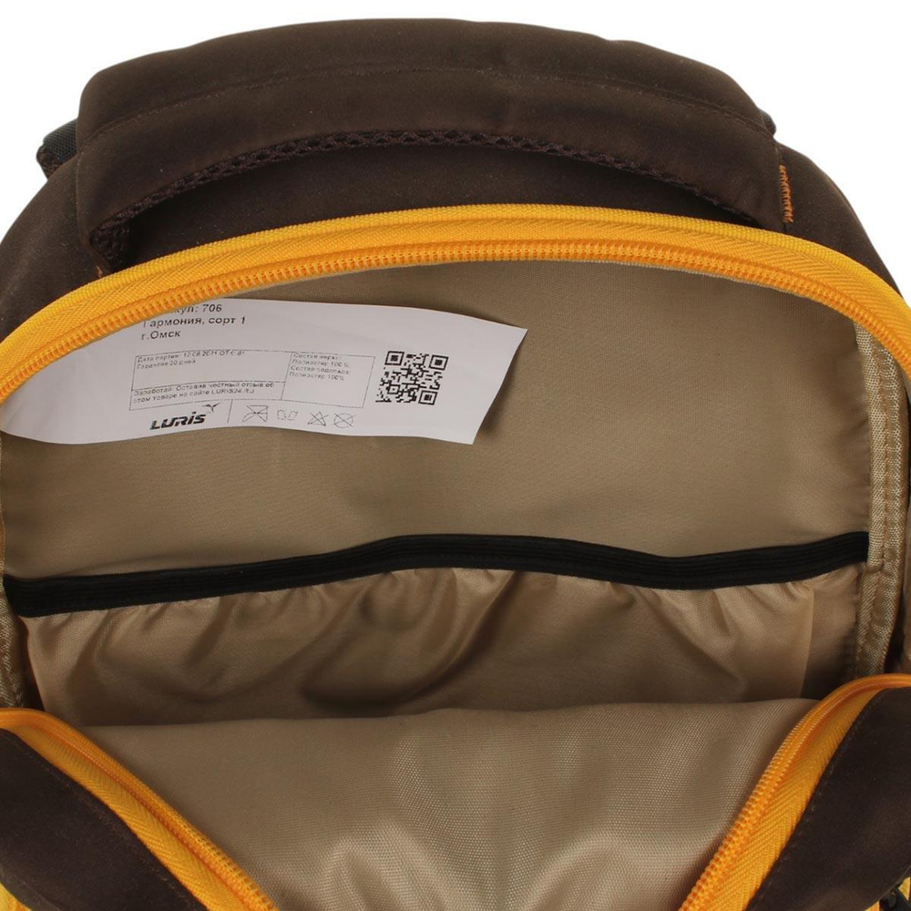 Ранец школьный Гармония 40*28*18см, анатом. спинкой, 1 отдел, 2 кармана, 2 боковых кармана "Дино" (