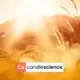 Отдушки CandleScience (ОРИГИНАЛ)
