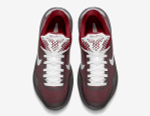Заказать в Москве Nike Kobe 10 GS Young Knights