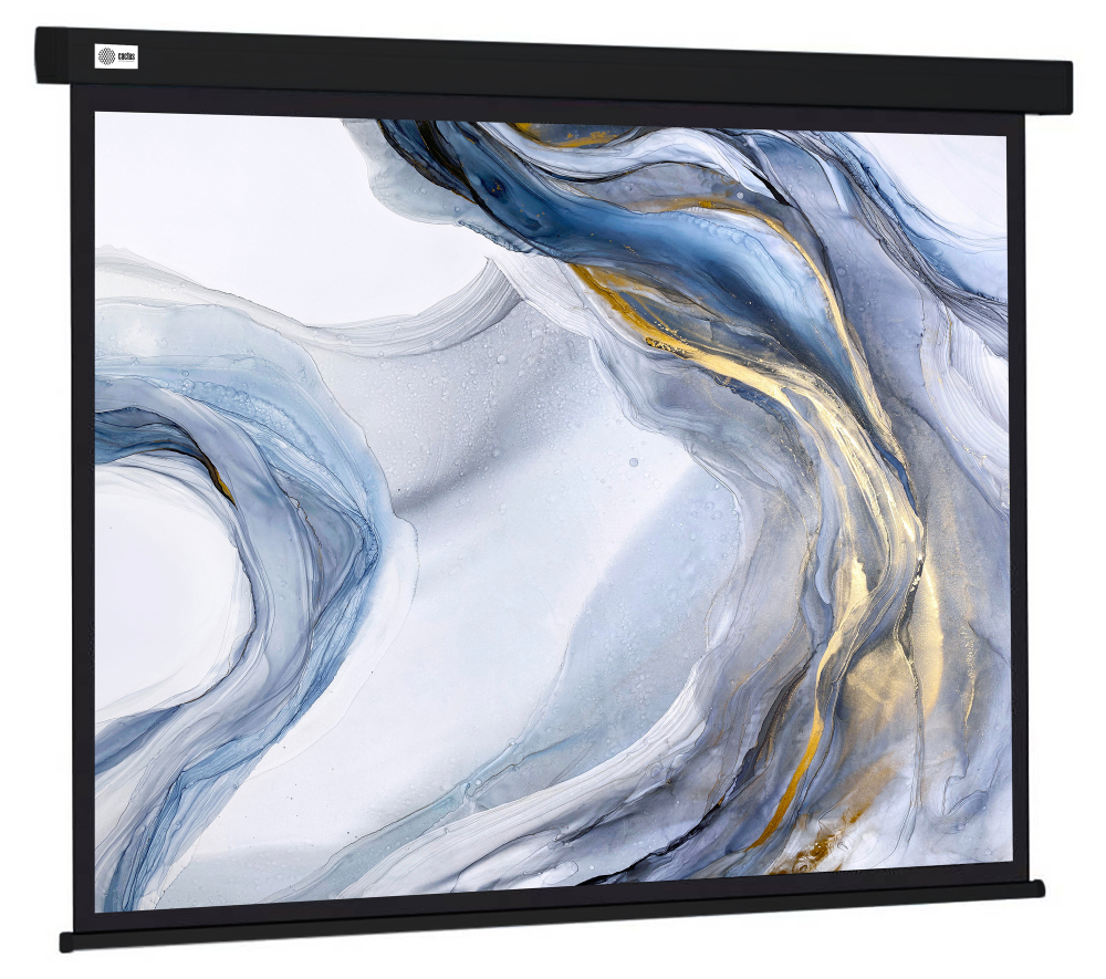 Экран  Cactus CS-PSW-180X180-BK