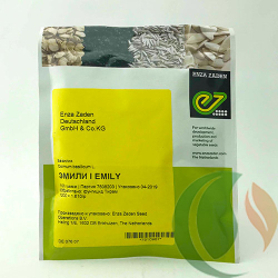 Семена базилика овощного Эмили, Enza Zaden