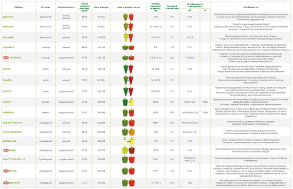 РЭД НАЙТ F1 семена перца сладкого (Seminis | Alexagro) – фото 6