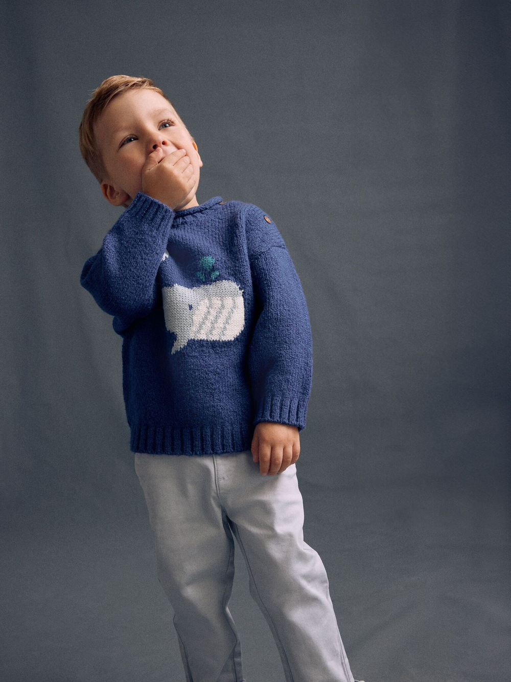 Джемпер для мальчика Next E27-758, Синий