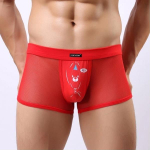 Мужские трусы-боксеры из сетки Cockcon Unzip-Me Boxer с пикантным принтом (Размер: L) (Цвет: голубой)