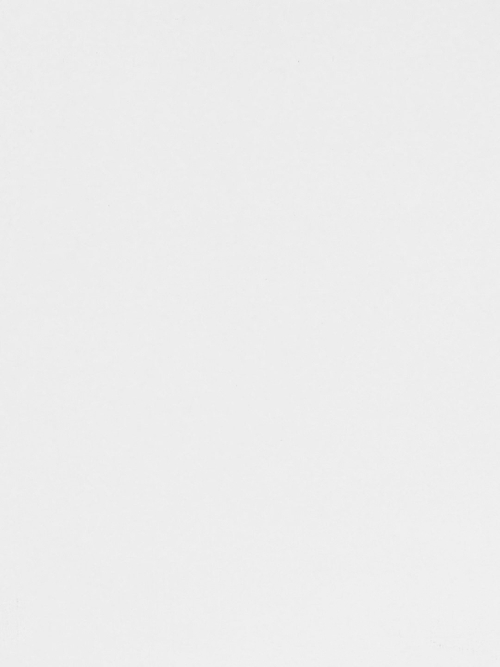 Масляная краска Белила титановые 40 мл