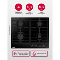 Газовая панель Hansa BHGS650103