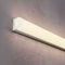 Гибкий неон Maytoni Led Strip 200821