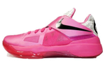 Кроссовки Nike Kd 4 Aunt Pearl