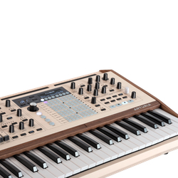 Arturia Polybrute 12