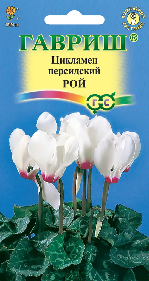 СЕМЕНА ЦИКЛАМЕН РОЙ ГАВРИШ