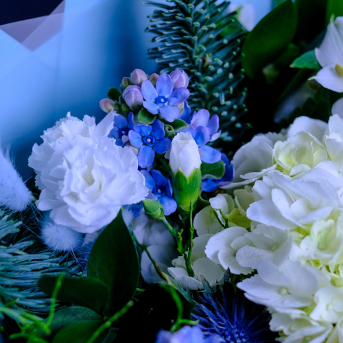 Купить Зимний букет с белой гортензией #695