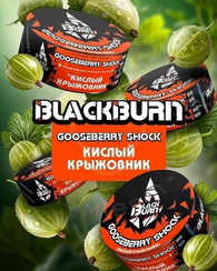 BlackBurn Gooseberry Shock (Кислый крыжовник), 25г.