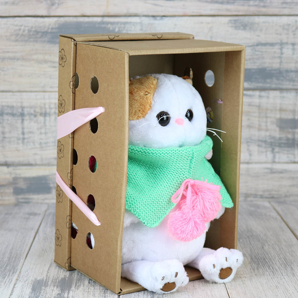 Котик Ли-Ли в бирюзовом снуде