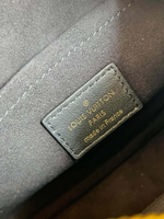 Louis Vuitton New Wave Camera Bag