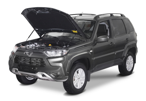 Газовые упоры капота Rival для Lada Niva Travel 2021-н.в., 2 шт., A.ST.6017.1