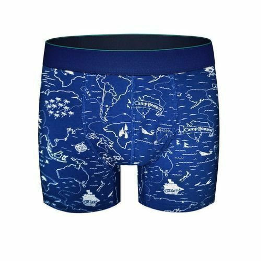 Трусы мужские боксеры синие с узором DARKZONE DZN2641