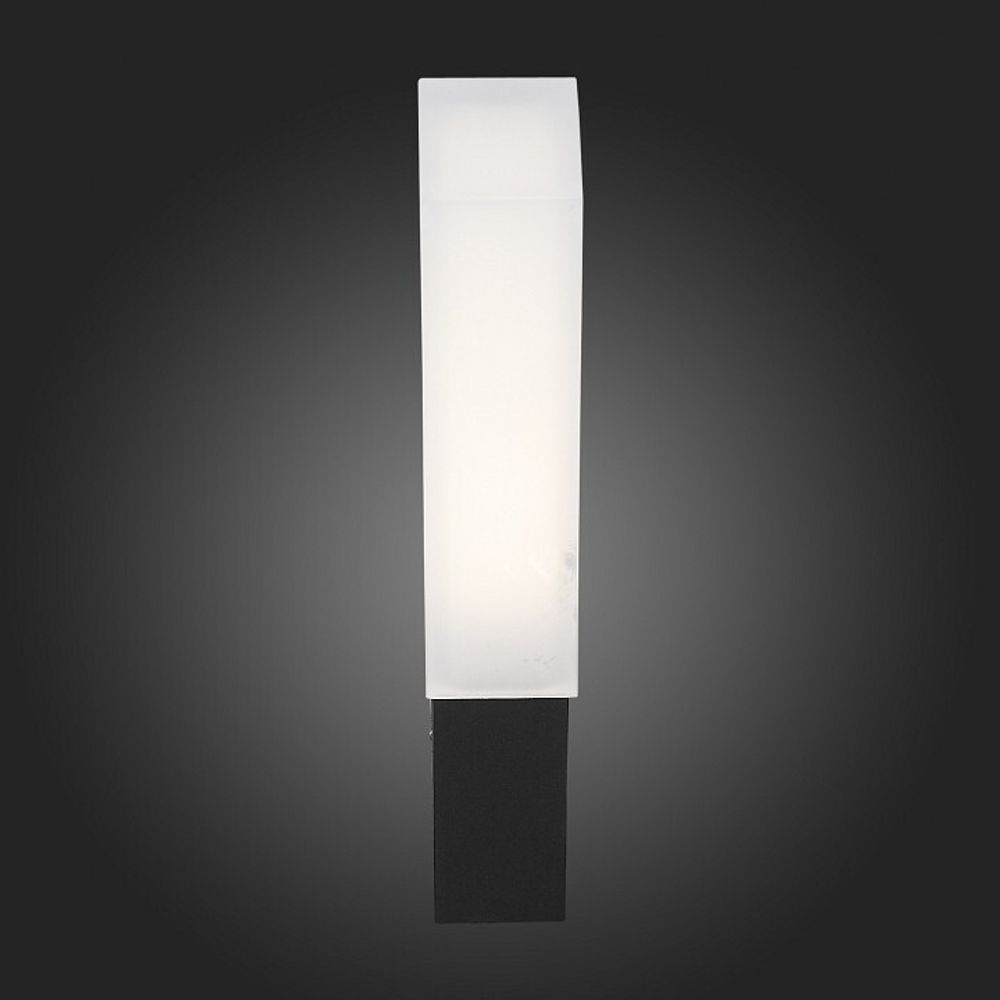 Накладной светильник ST-Luce Posto SL096.411.02