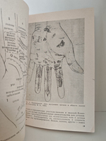 Экстерорецепторы кожи (Некоторые вопросы локальной диагностики и терапии)