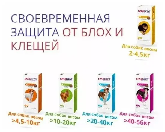 MSD Animal Health Бравекто для собак 20-40 кг, таблетки 1000 мг 1 шт. в уп., 1 уп.