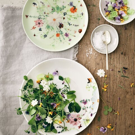 Rosenthal Тарелка для завтрака Spring Garden 23 см