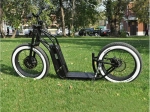 Электросамокат E-motions Street Bad Boy 20