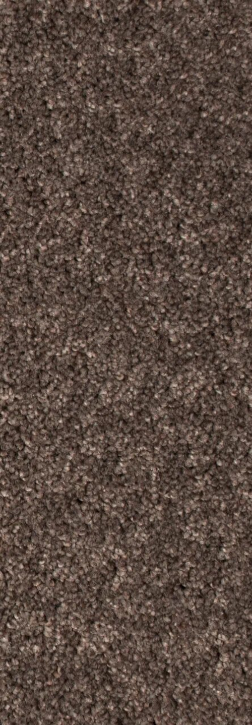 КОВРОВОЕ ПОКРЫТИЕ AW Stainguard Harvest Heathers (Стейнгурад Харвест Хизер) 43