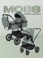 Коляска модульная Rant Moss 2025 Green