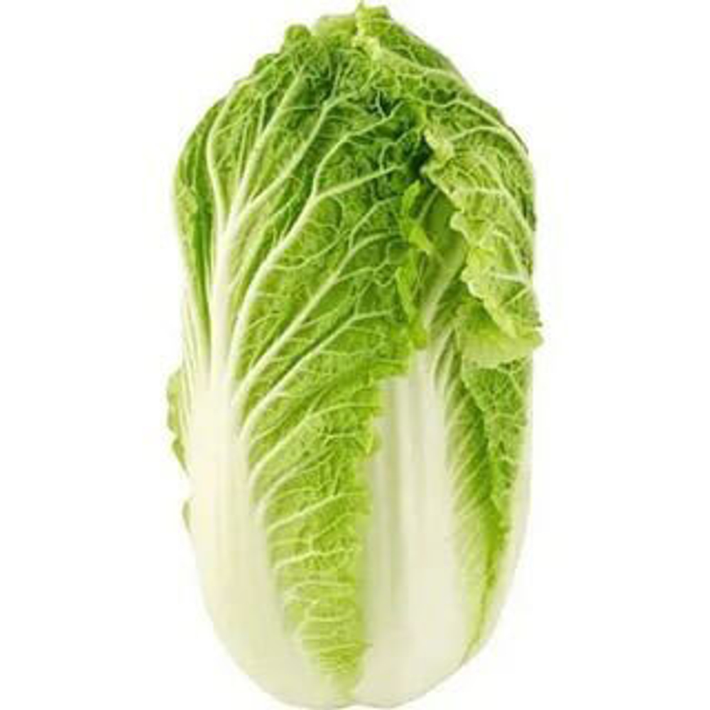 13199