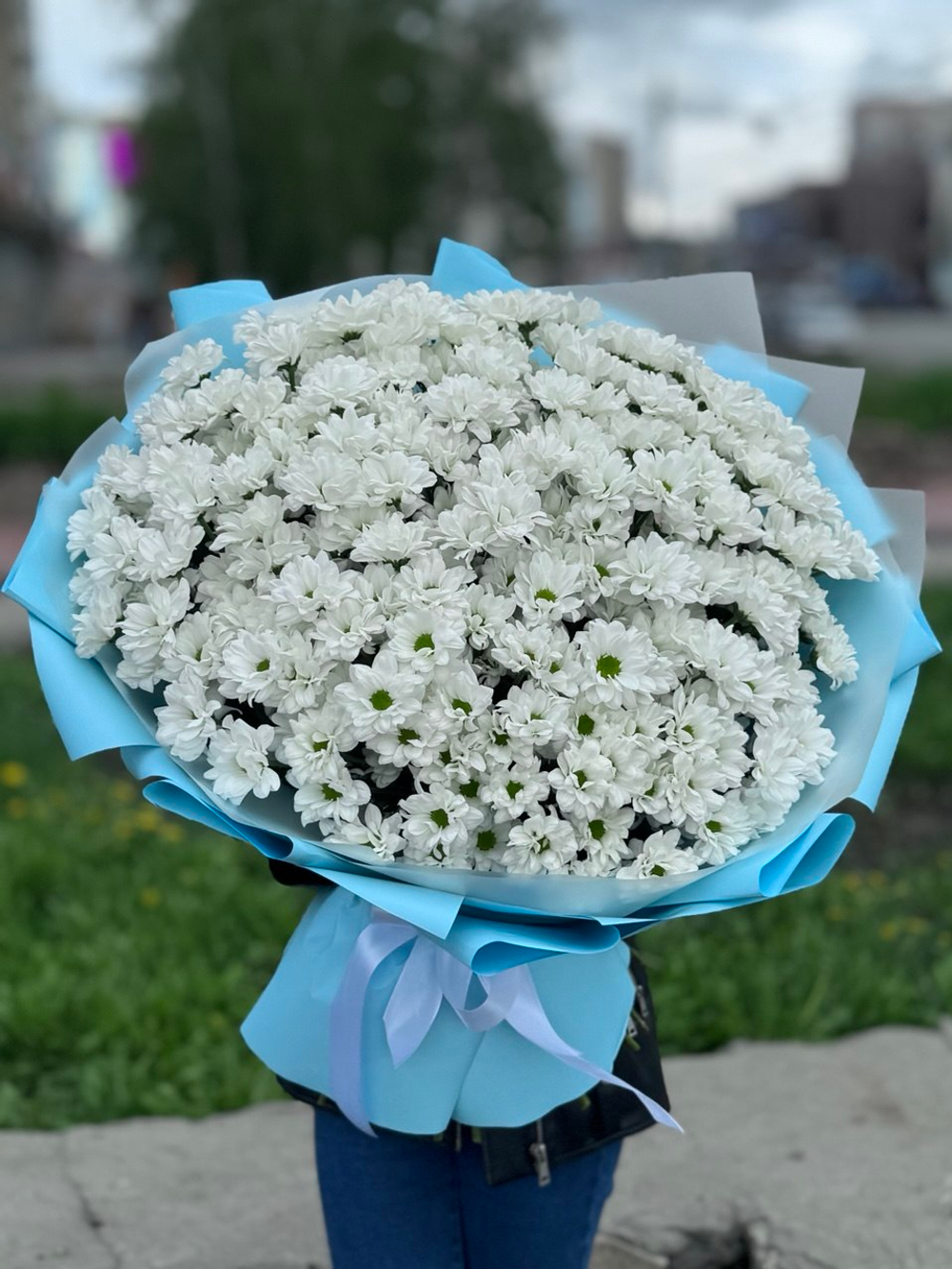 Букет из 35 кустовых хризантем сорта "Рейган белый"