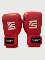 Перчатки боксерские  RED TS 16