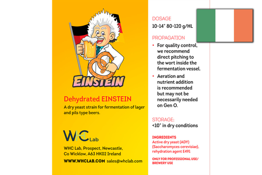 EINSTEIN LAGER