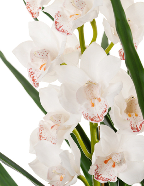 Орхидея Цимбидиум куст белый 3 ветки с имитацией земли (без кашпо)