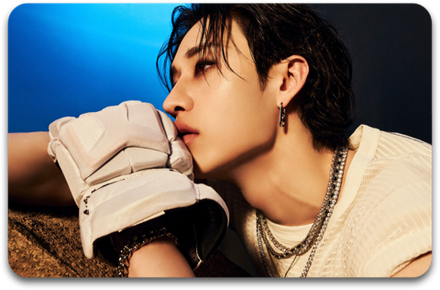 Карта / STRAY KIDS #4225