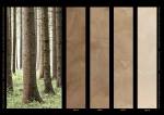 Valpaint Rococò Stucco Veneziano 800 декоративная штукатурка