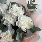 Премиум диантусы