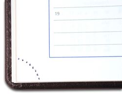 Еженедельник Letts Global Deluxe A4 белые страницы золотой срез (412 127143)