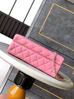 Chanel Bag (2 sizes)