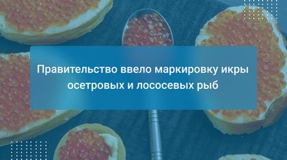 Правительство ввело маркировку икры осетровых и лососевых рыб