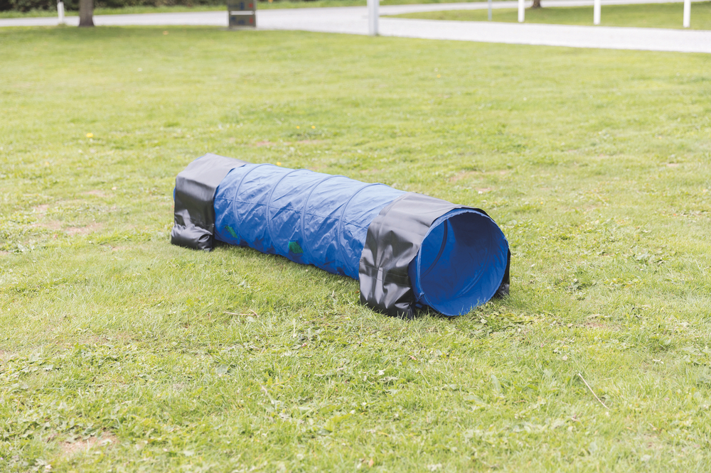 Тоннель для собаки Trixie Agility, размер 40х200см., синий