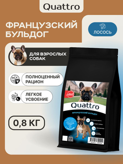Корм сухой для взрослых собак породы Французский бульдог, с лососем, 800 гр, QUATTRO