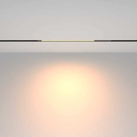 Трековый светильник Maytoni Technical TR231-2-10W3K-B